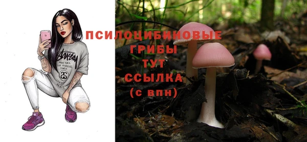 Альфа ПВП Арсеньев