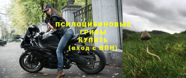 Альфа ПВП Арсеньев