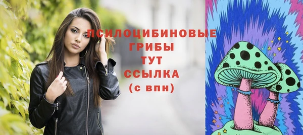 мяу мяу мука Аркадак