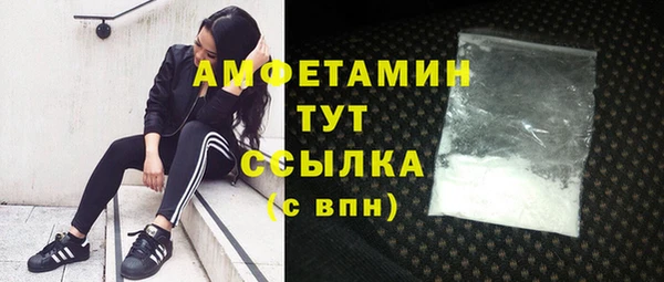 мяу мяу мука Аркадак