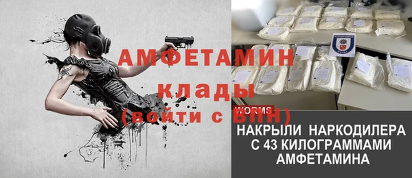 мяу мяу мука Аркадак